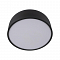 Светильник LOFT IT 10201/350 Black