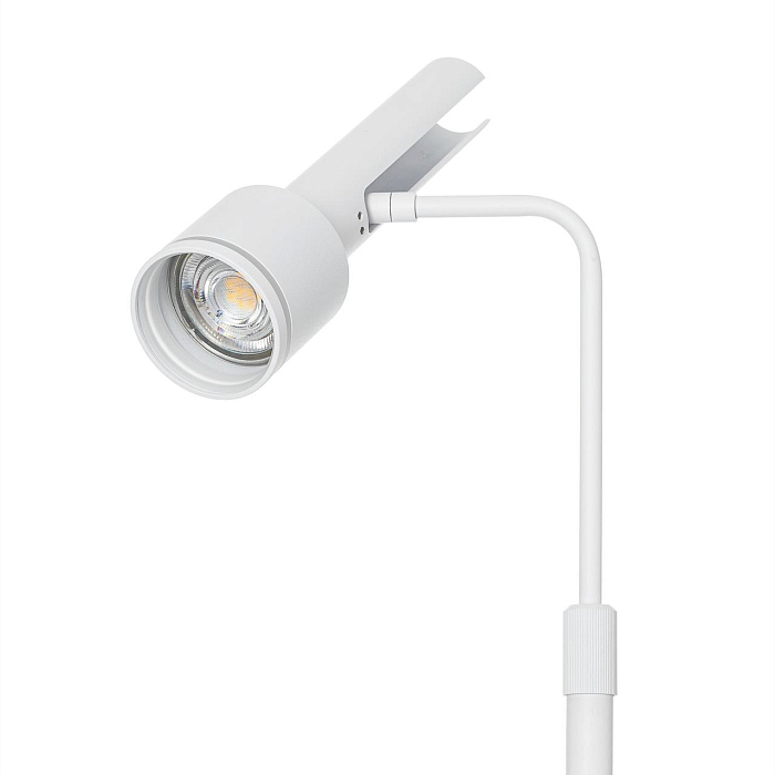 Торшер CITILUX CL513910